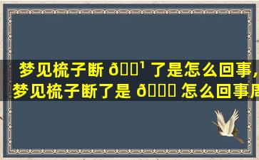 梦见梳子断 🌹 了是怎么回事,梦见梳子断了是 🐕 怎么回事周公解梦